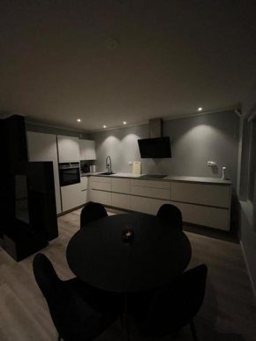 perfect apartment in the district of Bjerke in Oslo